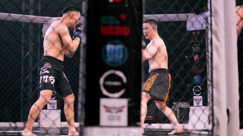 Two male fighters engaged in a thrilling MMA match inside an octagonal cage.